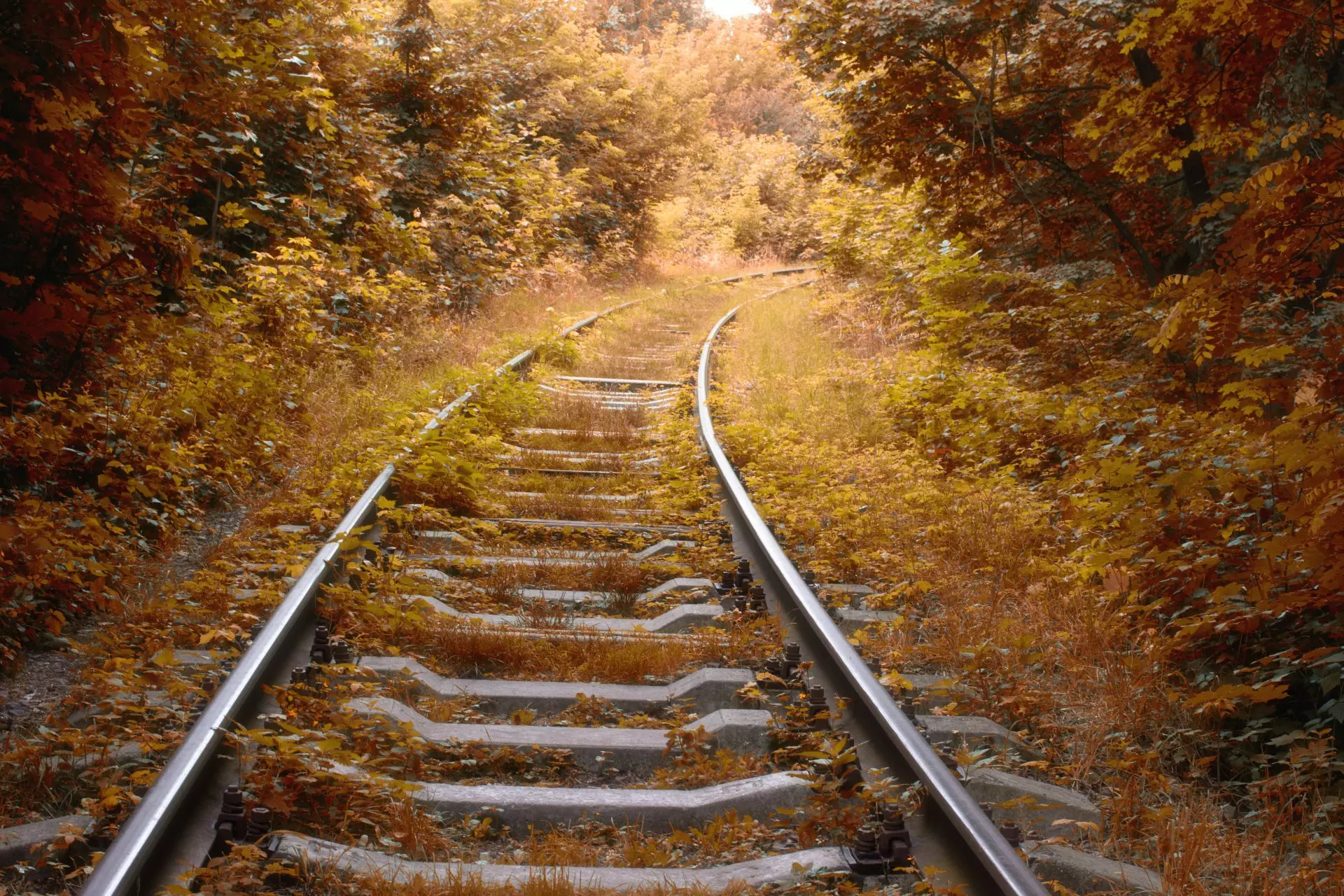 Old and overgrown Railway Track